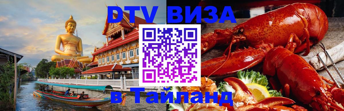 Оформление DTV визы под ключ: стоимость и тарифы, только загранпаспорт - 